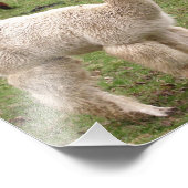 Alpaca Melange ~ Foto (Ecke)