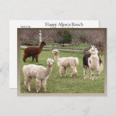 Alpaca Melange Kalender ~ Postkarte (Vorne/Hinten)