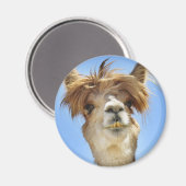 Alpaca mit Crazy Hair Magnet (Vorderseite/Rückseite)