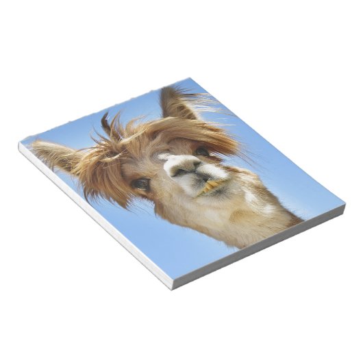 Alpaca mit Crazy Hair Notizblock (angewinkelt)