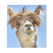 Alpaca mit Crazy Hair Notizblock (Vorderseite)
