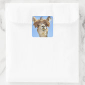 Alpaca mit Crazy Hair Quadratischer Aufkleber (Tasche)