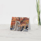 Alpaca Mitteilungskarten Elisabetta (Vorderseite)