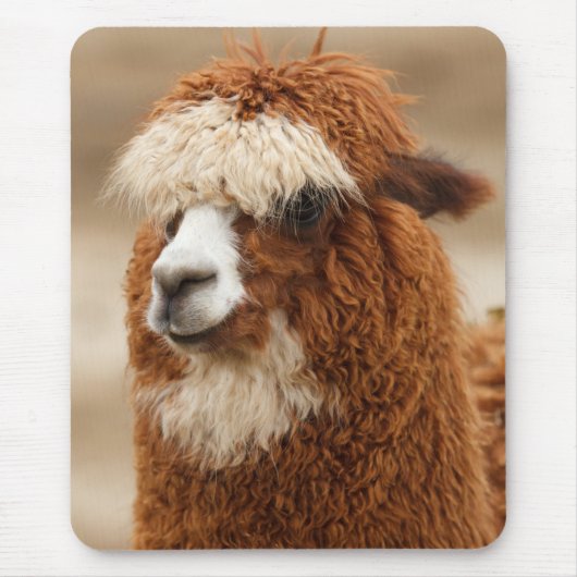 Alpaca mousepad (Vorne)