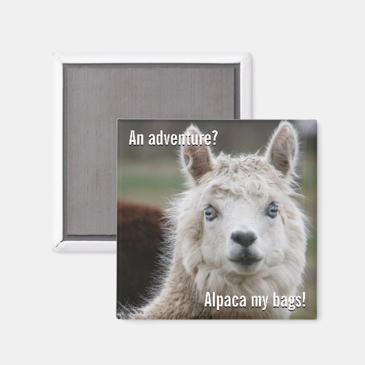 Alpaca My Bags for Adventure Magnet (Vorderseite/Rückseite)