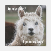 Alpaca My Bags for Adventure Magnet (Vorne)
