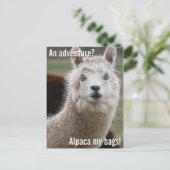Alpaca My Bags for Adventure Postcard Postkarte (Stehend Vorderseite)