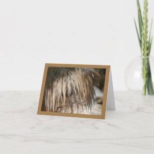 Alpaca Nah-up - Karte