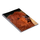 Alpaca Notizblock (Rechte Seite)