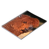 Alpaca Notizblock (Linke Seite)