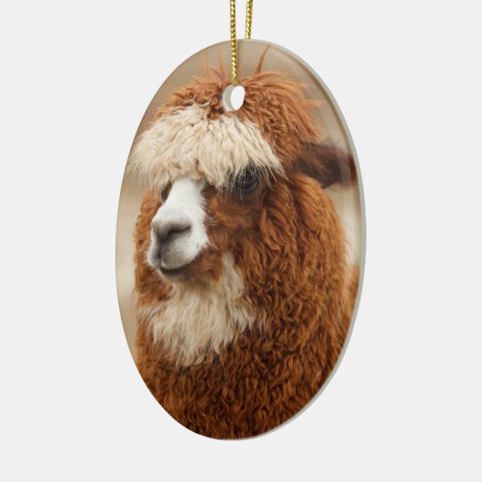 Alpaca-Ornament Keramikornament (Links)