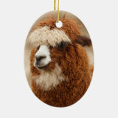 Alpaca-Ornament Keramikornament (Hinten)