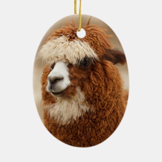 Alpaca-Ornament Keramikornament (Hinten)