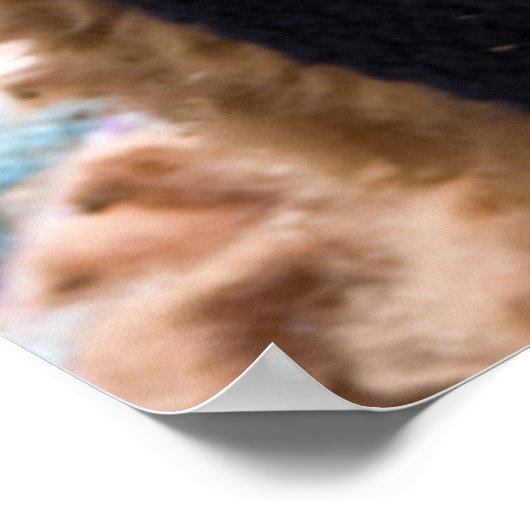 Alpaca, Pachacoto, Cordillera Blanca, Ancash Poster (Ecke)