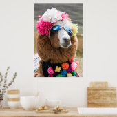 Alpaca, Pachacoto, Cordillera Blanca, Ancash Poster (Küche)