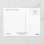 Alpaca, Parque Llaviucu, Ecuador Postkarte (Rückseite)