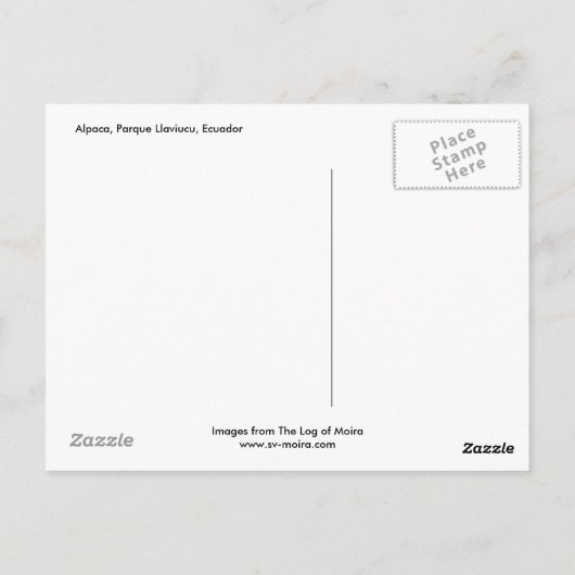 Alpaca, Parque Llaviucu, Ecuador Postkarte (Rückseite)