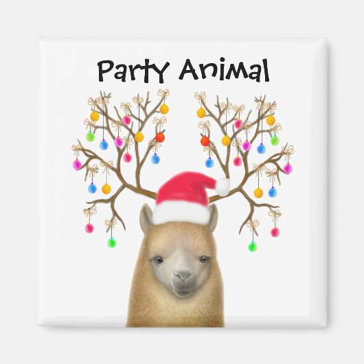 Alpaca Party Animal Magnet (Vorne)