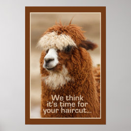 Alpaca-Plakat Poster