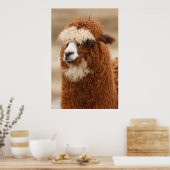 Alpaca-Plakat Poster (Küche)
