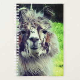 Alpaca Planer