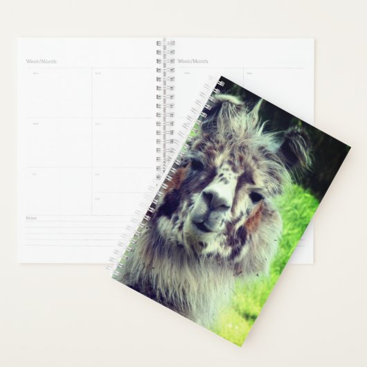 Alpaca Planer (Anzeige)