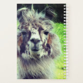 Alpaca Planer (Rückseite)