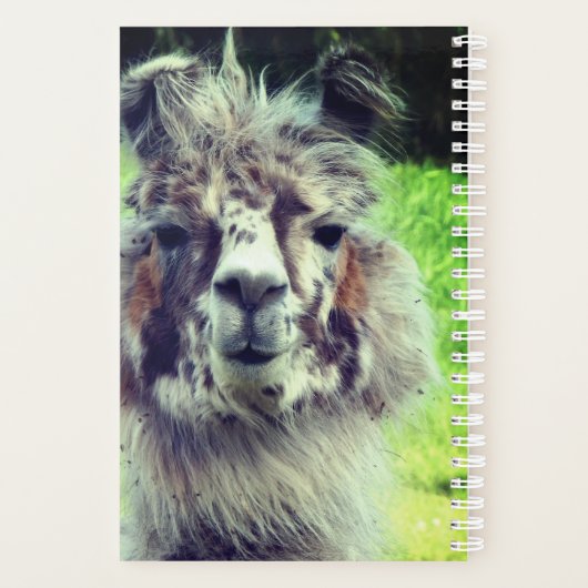 Alpaca Planer (Rückseite)