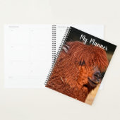 Alpaca Planer (Anzeige)