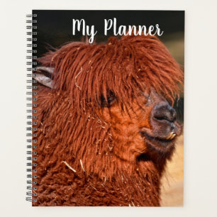 Alpaca Planer