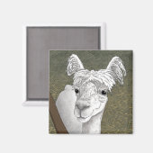 Alpaca Portrait 2 Magnet (Vorderseite/Rückseite)