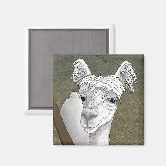 Alpaca Portrait 2 Magnet (Vorderseite/Rückseite)