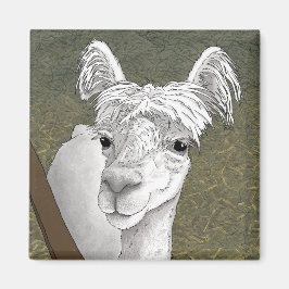 Alpaca Portrait 2 Magnet