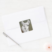 Alpaca Portrait 2 Quadratischer Aufkleber (Umschlag)