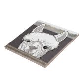 Alpaca Portrait Fliese (Seite)