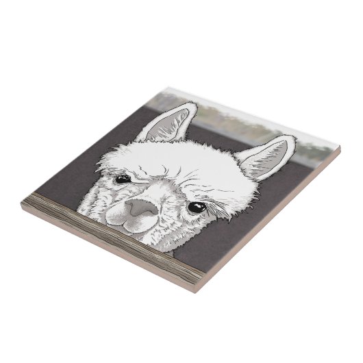 Alpaca Portrait Fliese (Seite)