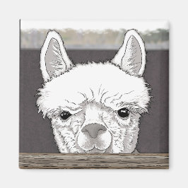 Alpaca Portrait Magnet