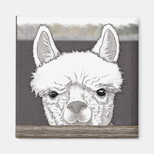 Alpaca Portrait Magnet (Vorne)