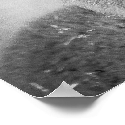 Alpaca Portrait Schwarz-Weiß Poster (Ecke)