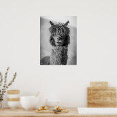 Alpaca Portrait Schwarz-Weiß Poster (Küche)