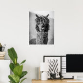 Alpaca Portrait Schwarz-Weiß Poster (Heimbüro)