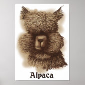 Alpaca Poster (Vorne)