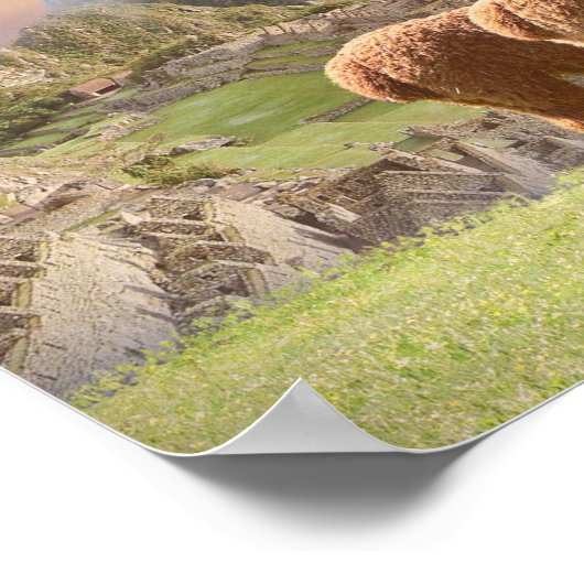 Alpaca Poster (Ecke)