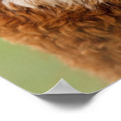 Alpaca Poster (Ecke)