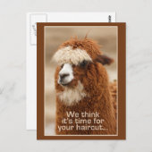 Alpaca-Postkarte Postkarte (Vorne/Hinten)
