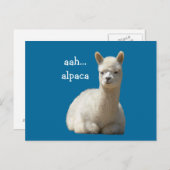 Alpaca Postkarten (Vorne/Hinten)