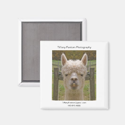 Alpaca Promo Piece Magnet (Vorderseite/Rückseite)