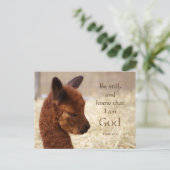 Alpaca Psalm 46:10 Postkarte (Stehend Vorderseite)