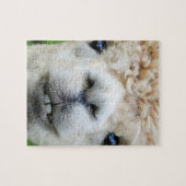 ALPACA-PUZZEL 8X10 PUZZLE (Horizontal)