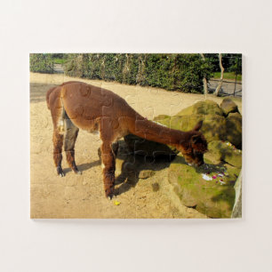 Alpaca Puzzle